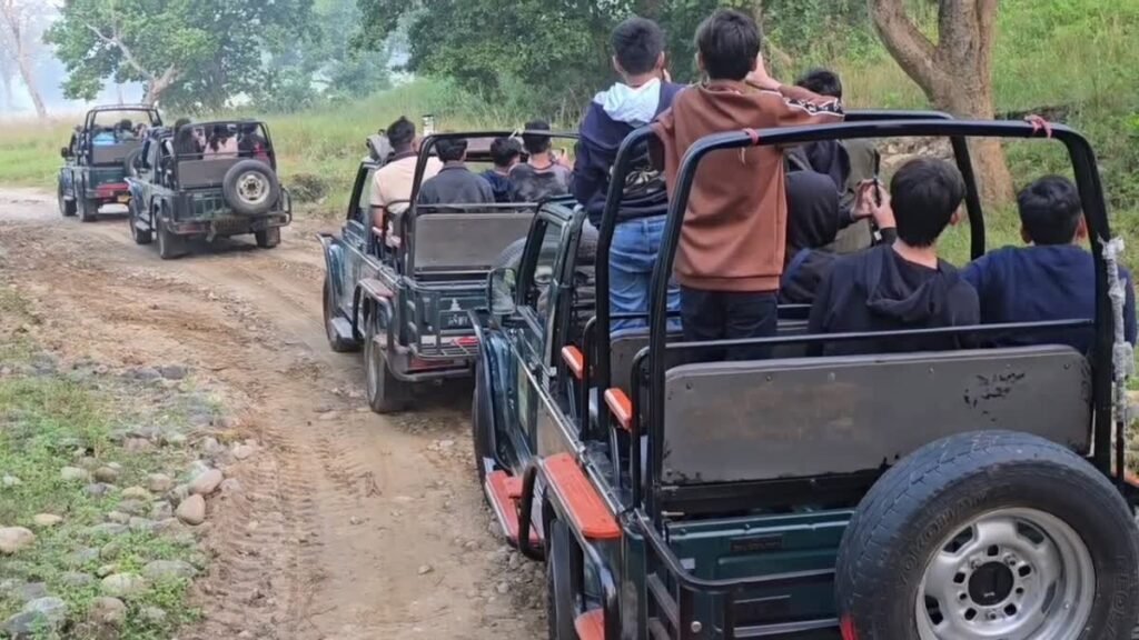 विश्व पर्यावरण दिवस: कॉर्बेट टाइगर रिजर्व से प्लास्टिक बोतलों की होगी विदाई, सैलानियों को कांच की बोतलों में दिया जाएगा पानी