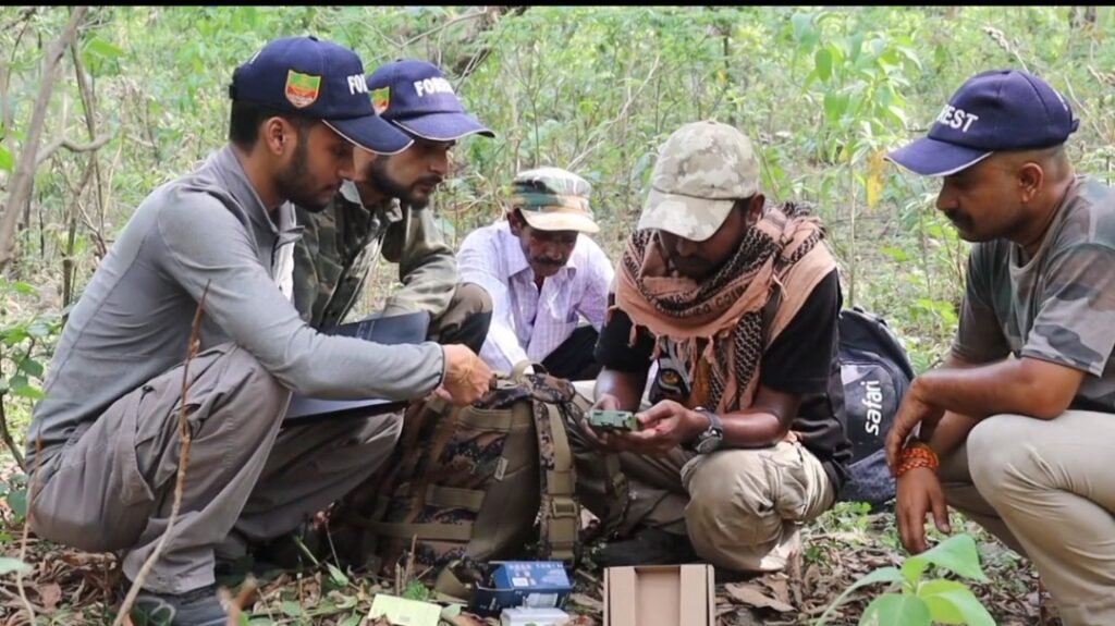 उत्तराखंड के जंगलों में एआई की एंट्री, शुरू हुआ तकनीक का नया दौर, जानिये कैसे होगा काम
