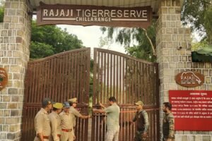 वाइल्डलाइफ बोर्ड से मंजूरी मिलते ही रेलवे ट्रैक बनेगा सुरक्षित, ट्रायल में पास हुआ AI सिस्टम