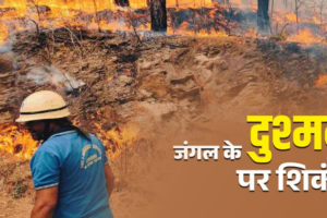 उत्तराखंड में जंगल के दुश्मनों पर ताबड़तोड़ कार्रवाई, चार महीने में 166 मामले दर्ज, आप न करें ये गलती