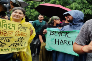 उत्तराखंड में हरेला पर्व से पहले चर्चाओं में ‘Black Harela’ अभियान, पेड़ कटान पर फूटा युवाओं का गुस्सा