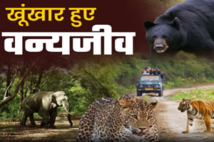 वन्यजीव संघर्ष के लिए बनेगी जनपद स्तरीय कमेटी, पंचायतों की भूमिका को मजबूत करने पर होगा बल