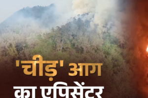वन विभाग के नए अध्ययन ने खोला जंगलों में आग का राज, चीड़ बना सबसे बड़ा फायर हॉटस्पॉट, मिश्रित वन पर भी संकट