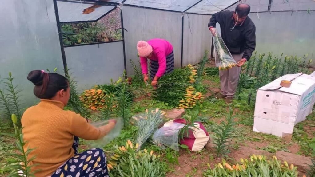 पॉलीहाउस योजना पर सरकार की नई कवायद, धीमी गति के लिए जिम्मेदार कंपनी से होगी रिकवरी
