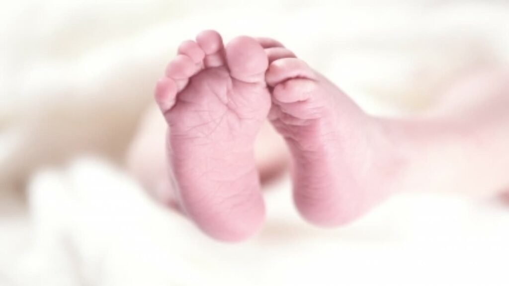 दिल पघला देने वाली घटना, एक नहीं बल्कि दो बच्चियां लावारिस हालत में मिलीं, कूड़े के ढेर में रोती मिली नवजात