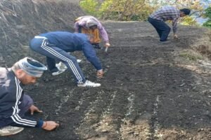 उत्तराखंड: पहाड़ में खेती को मिलेगी नई रफ्तार, जापान के 500 करोड़ से संवरेंगे 16 ब्लॉक