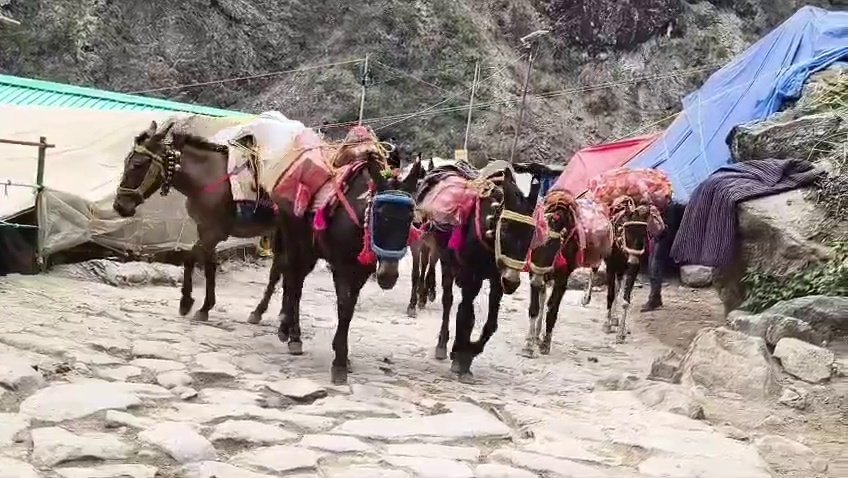 केदारनाथ में 25 टन बायो फ्यूल पेलेट्स तैयार, अब अगले चरण में बड़े स्तर पर होगा उत्पादन
